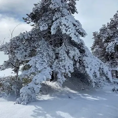Pasiega Lucas Bustantegua
