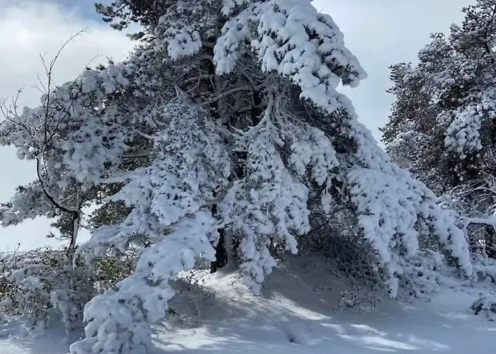 Pasiega Lucas Bustantegua