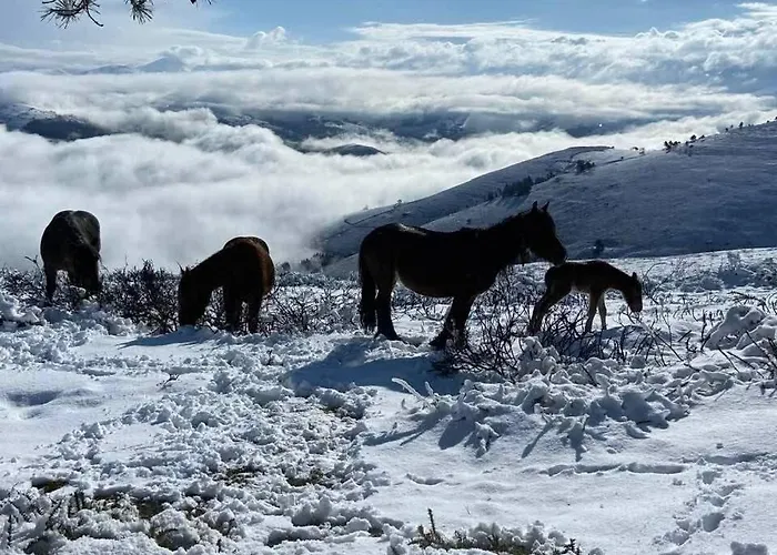 Pasiega Lucas Bustantegua